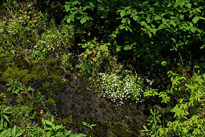 BUITEN BEELD Foto: 434598