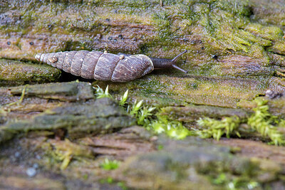 BUITEN BEELD Foto: 434604