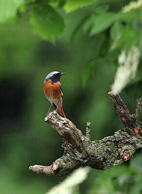 BUITEN BEELD Foto: 434660