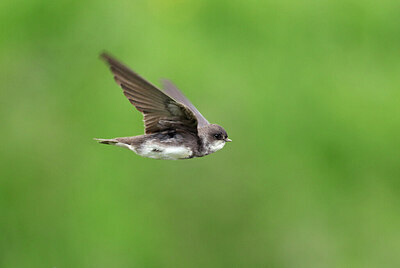 BUITEN BEELD Foto: 434671