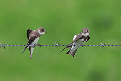 BUITEN BEELD Foto: 434677