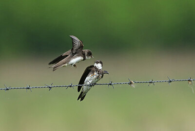 BUITEN BEELD Foto: 434678