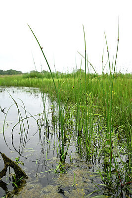 BUITEN BEELD Foto: 434738