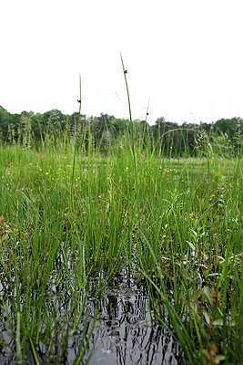 BUITEN BEELD Foto: 434740