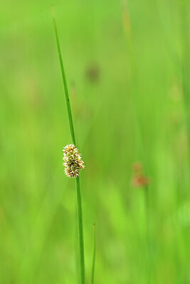 BUITEN BEELD Foto: 434745