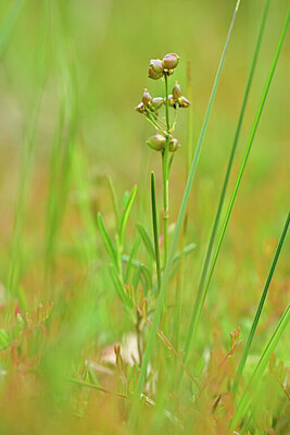 BUITEN BEELD Foto: 434748