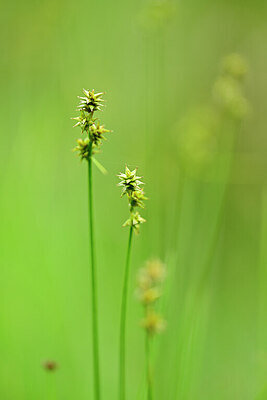 BUITEN BEELD Foto: 434751