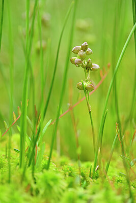 BUITEN BEELD Foto: 434753
