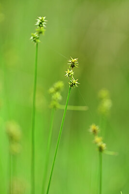 BUITEN BEELD Foto: 434769