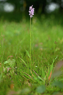 BUITEN BEELD Foto: 434771