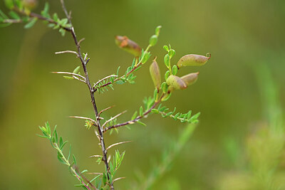 BUITEN BEELD Foto: 434773