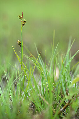BUITEN BEELD Foto: 434781