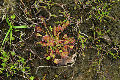 BUITEN BEELD Foto: 434856