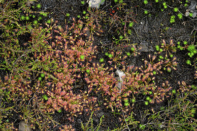 BUITEN BEELD Foto: 434862