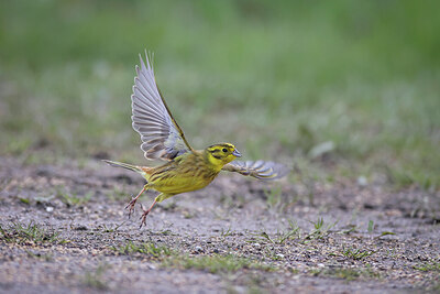 BUITEN BEELD Foto: 434869