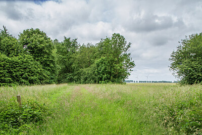 BUITEN BEELD Foto: 434898