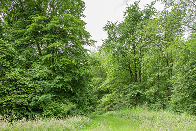 BUITEN BEELD Foto: 434899