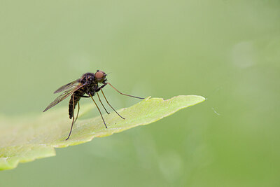 BUITEN BEELD Foto: 434911
