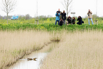 BUITEN BEELD Foto: 434972