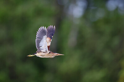 BUITEN BEELD Foto: 434973