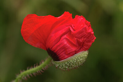 BUITEN BEELD Foto: 434994