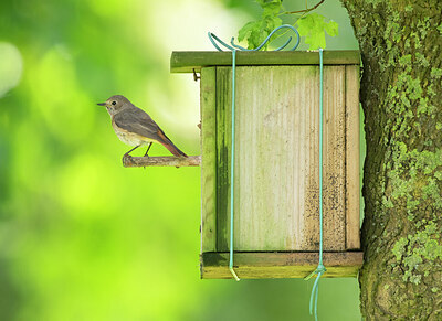 BUITEN BEELD Foto: 435000