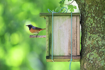 BUITEN BEELD Foto: 435001