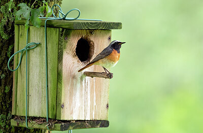 BUITEN BEELD Foto: 435002