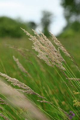 BUITEN BEELD Foto: 435008