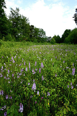 BUITEN BEELD Foto: 435009