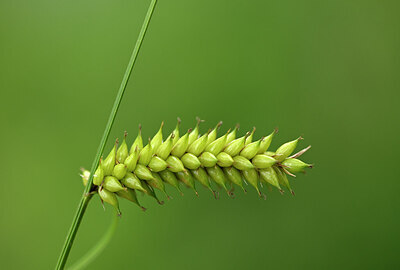 BUITEN BEELD Foto: 435012
