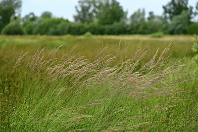 BUITEN BEELD Foto: 435015