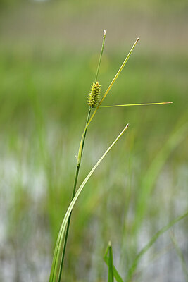BUITEN BEELD Foto: 435021