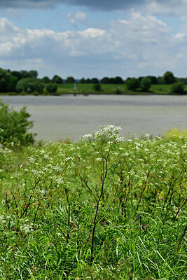 BUITEN BEELD Foto: 435036