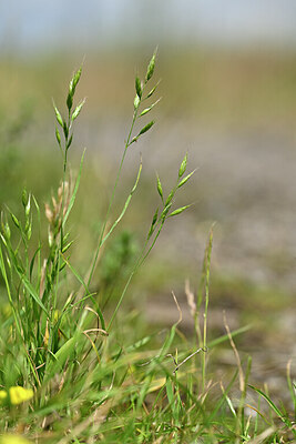 BUITEN BEELD Foto: 435038
