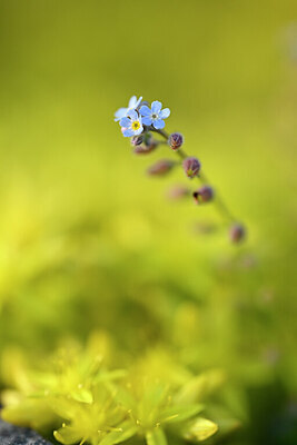 BUITEN BEELD Foto: 435040