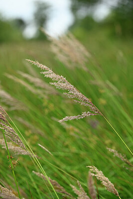 BUITEN BEELD Foto: 435041