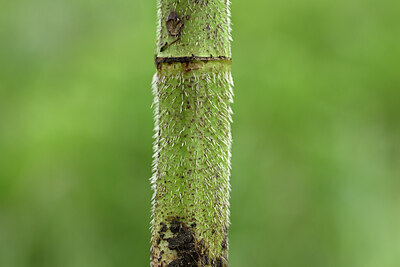 BUITEN BEELD Foto: 435044