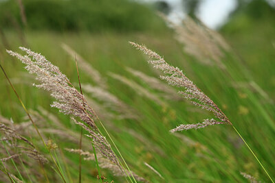 BUITEN BEELD Foto: 435046