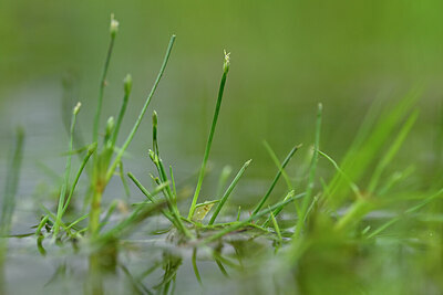 BUITEN BEELD Foto: 435047