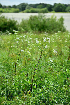 BUITEN BEELD Foto: 435051