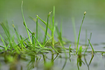 BUITEN BEELD Foto: 435054