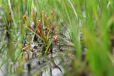 BUITEN BEELD Foto: 435055