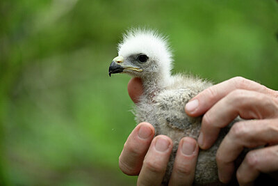 BUITEN BEELD Foto: 435058