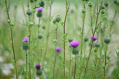 BUITEN BEELD Foto: 435060
