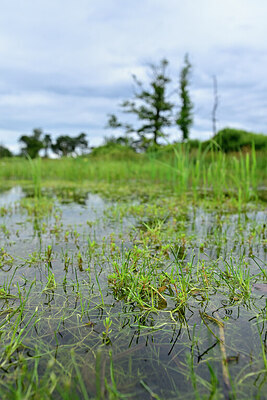 BUITEN BEELD Foto: 435061