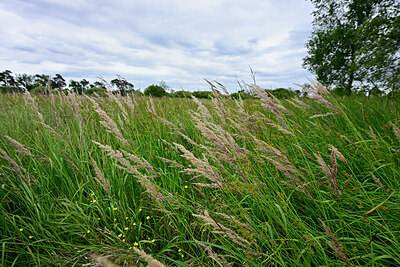 BUITEN BEELD Foto: 435063