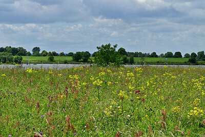 BUITEN BEELD Foto: 435068