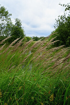 BUITEN BEELD Foto: 435071