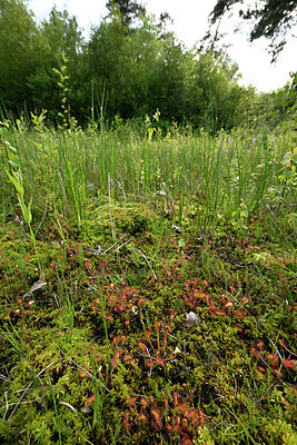 BUITEN BEELD Foto: 435073
